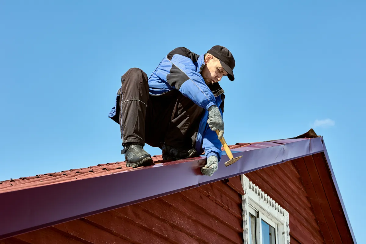 compressed_comingsoon1